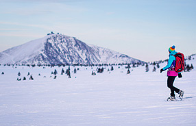 Na Sněžku v zimě (1603 m)